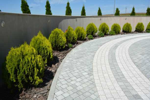Best Local Driveway Pavers  in Mojave, CA